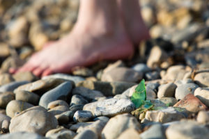 shards of glass, beach, foot, gravel shards of glass, beach, foot, gravel